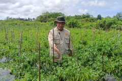 IMG-20230208-WA0014