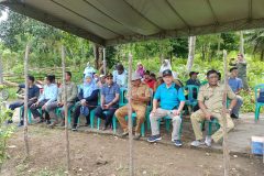 panen raya cabe di desa durian kelarek