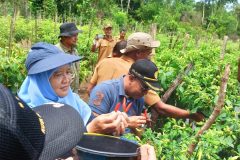 IMG_20221025_103848-scaled