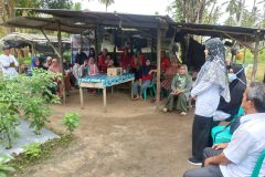 penyerahan bibit cabek