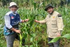 IMG-20230208-WA0016