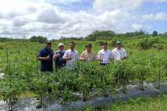 IMG-20230208-WA0018