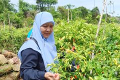 IMG_20221025_104145-scaled