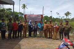 panen raya cabe di desa durian kelarek