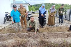 penyerahan bibit pakcong di BPP Kelarek