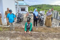 penyerahan bibit pakcong di BPP Kelarek