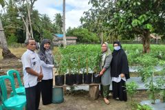 penyerahan bibit cabek