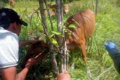 IMG-20221207-WA0010