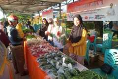 IMG-20221218-WA0002