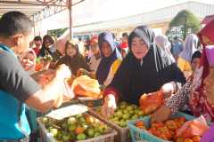 IMG-20221218-WA0013