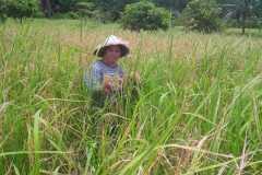 606d7111-be86-4213-97b5-909ded9d66a2