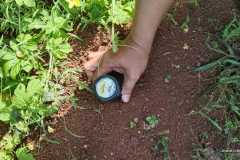 IMG-20221128-WA0010