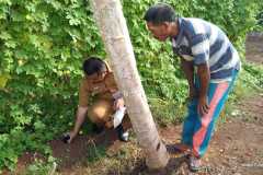 IMG-20221128-WA0011