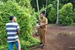 IMG-20221128-WA0012