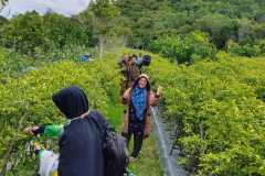 e52a7d08-cb8a-43c5-9dc2-13bc5b7eab44