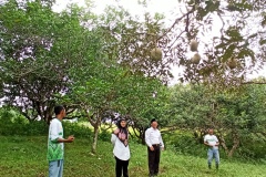 IMG_20220706_103356