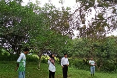 IMG_20220706_103359