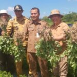 PETANI MENENTUKAN KETAHANAN SUATU BANGSA