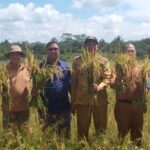 Jadikan Komoditas Unggulan Sebagai Identitas Desa